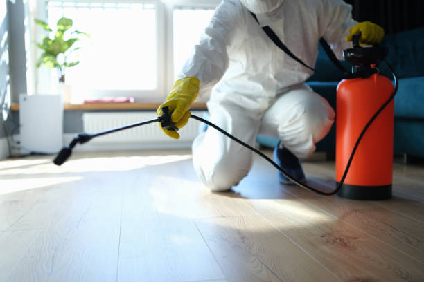 Reliable Odor Removal contractor in Arcadia, SC by Trauma Clean Pros